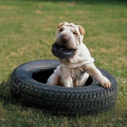 KONG Extreme Tires Small