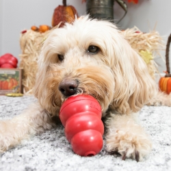KONG Classic Large