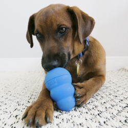 KONG Puppy Blue Small