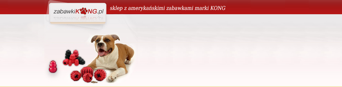 ZABAWKIKONG.PL