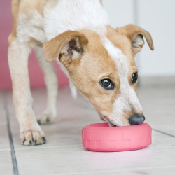 KONG Puppy Tires Pink Small